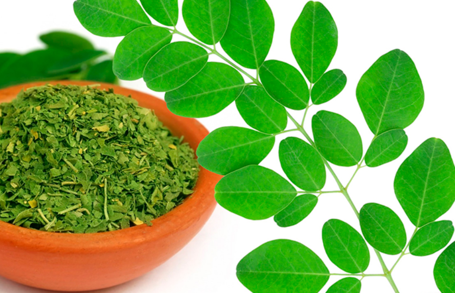 Té de Moringa